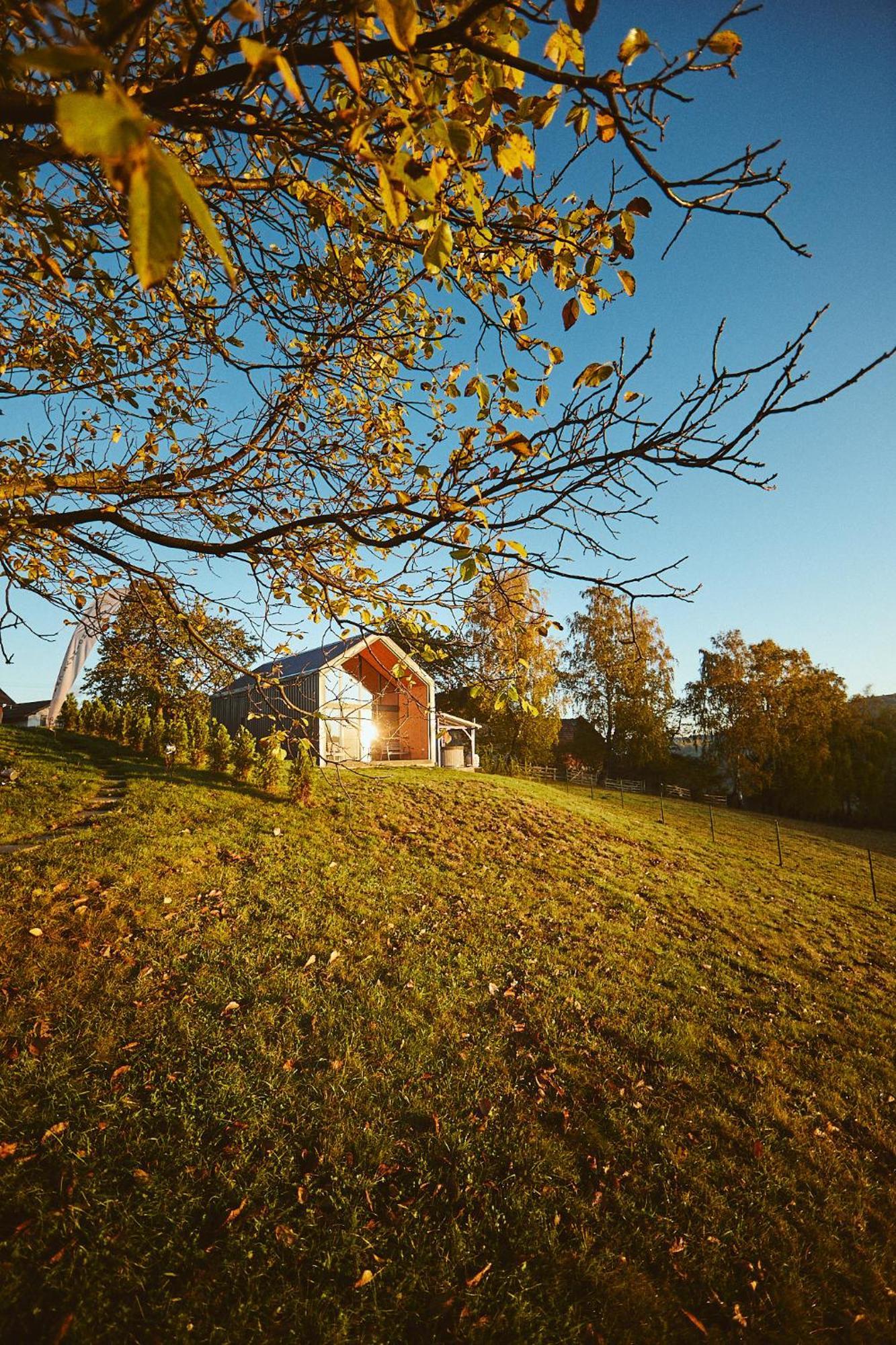 Scandinave Chalet Bran Zărneşti Exterior foto