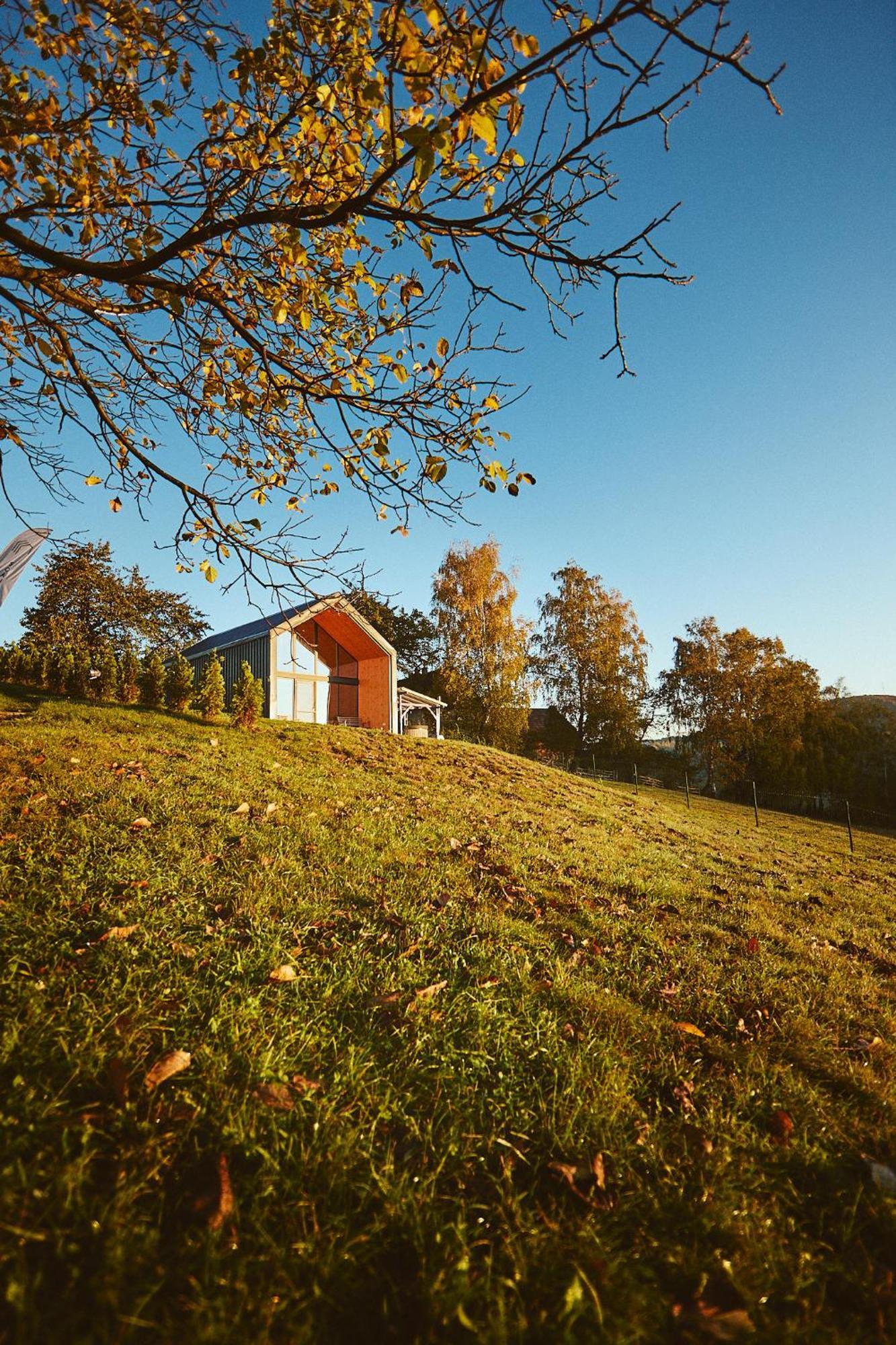Scandinave Chalet Bran Zărneşti Exterior foto