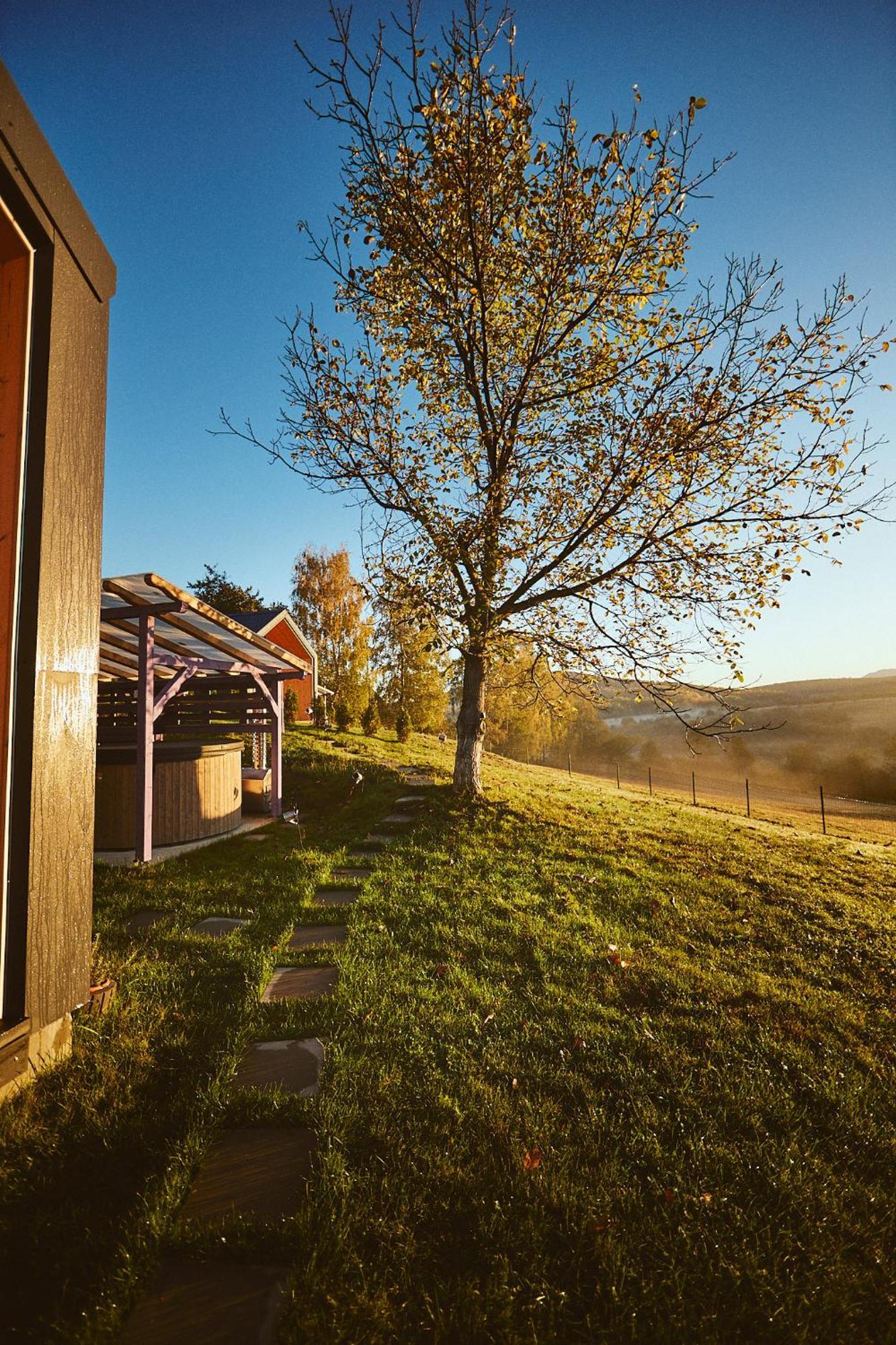 Scandinave Chalet Bran Zărneşti Exterior foto