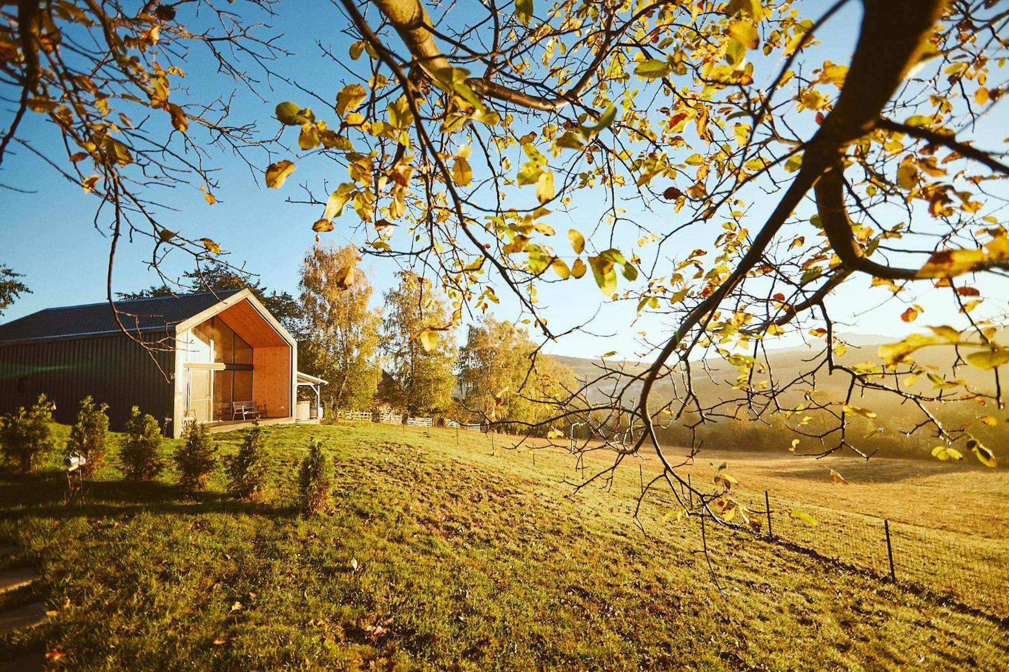 Scandinave Chalet Bran Zărneşti Exterior foto