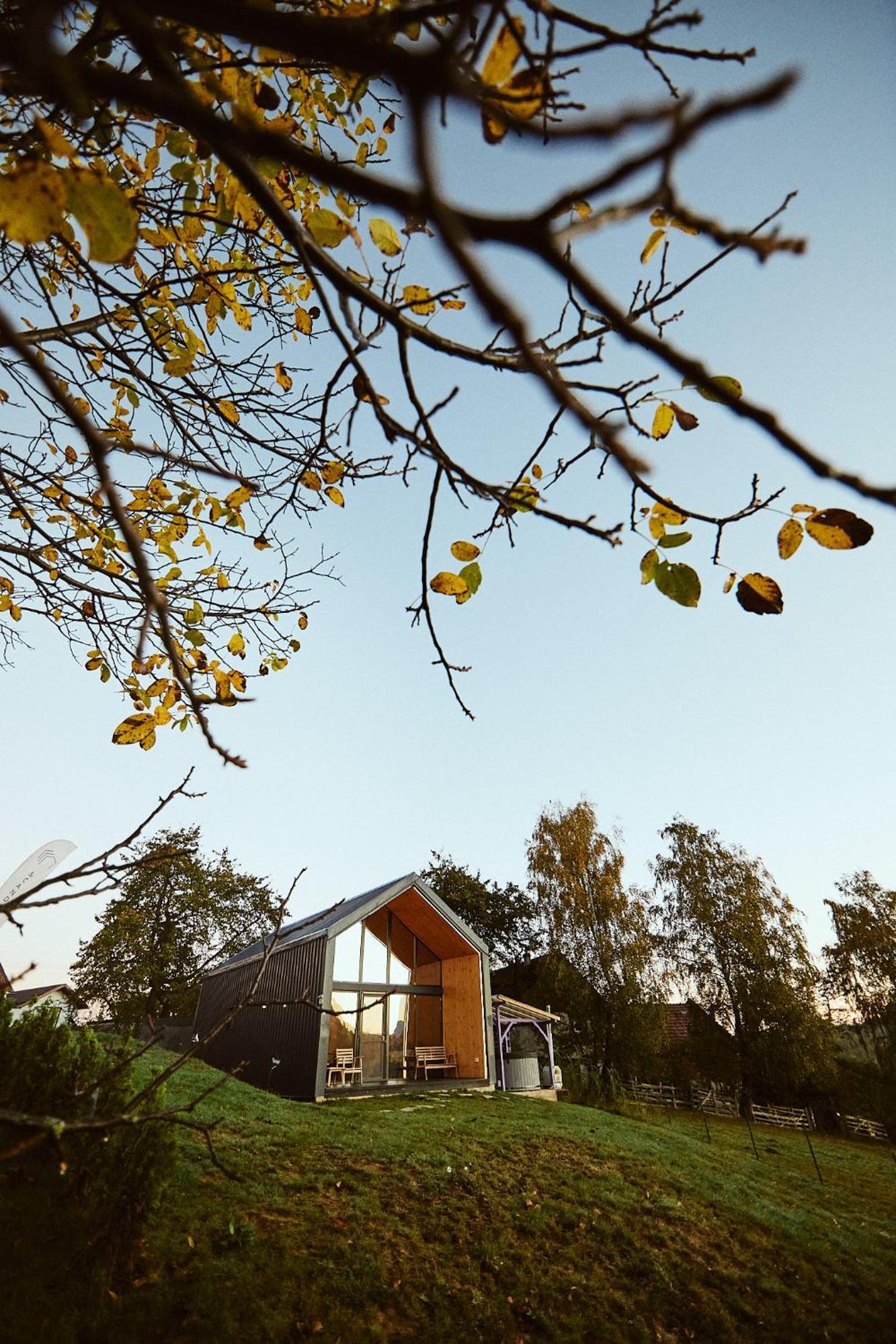 Scandinave Chalet Bran Zărneşti Exterior foto